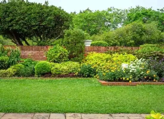 landscaping services Stoneville